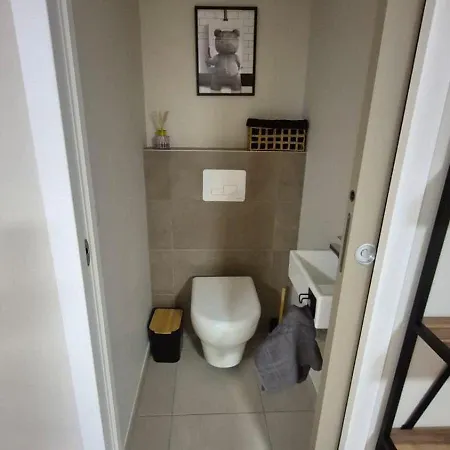 Renovated For 10 People Apartment Cauterets